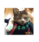 ミラの日常スタンプ（個別スタンプ：11）