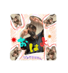 R ＆ K（個別スタンプ：2）