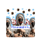 R ＆ K（個別スタンプ：4）