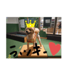 ラッキーくん1（個別スタンプ：2）