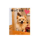 ラッキーくん1（個別スタンプ：3）