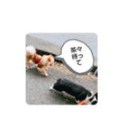 ラッキーくん1（個別スタンプ：5）