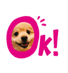 ラッキーくん1（個別スタンプ：8）