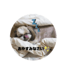 ちょこくんのすたんぷ（個別スタンプ：2）