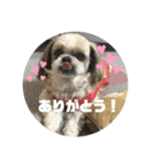 ちょこくんのすたんぷ（個別スタンプ：3）