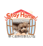 トイプー 日常に使えるスタンプ（個別スタンプ：11）