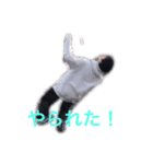 愉快な仲間たじぃ。（個別スタンプ：8）