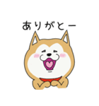 うちの柴犬ひなちゃん（個別スタンプ：2）