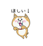 うちの柴犬ひなちゃん（個別スタンプ：8）