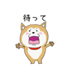 うちの柴犬ひなちゃん（個別スタンプ：13）