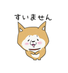 うちの柴犬ひなちゃん（個別スタンプ：17）