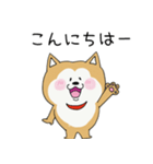 うちの柴犬ひなちゃん（個別スタンプ：19）