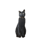 黒ねこミィ（個別スタンプ：5）