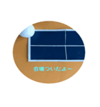 卓球の試合をみんなで楽しもう（個別スタンプ：12）