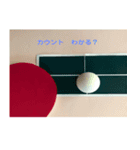 卓球の試合をみんなで楽しもう（個別スタンプ：17）