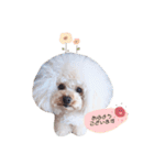marronchan..（個別スタンプ：1）
