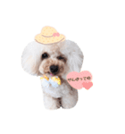 marronchan..（個別スタンプ：5）