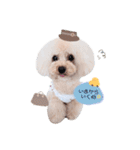 marronchan..（個別スタンプ：6）