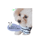 marronchan..（個別スタンプ：8）