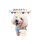marronchan..（個別スタンプ：16）