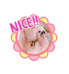 レン＆ここち 2020（個別スタンプ：3）