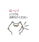 ねこまたん（個別スタンプ：20）