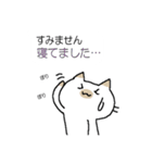 ねこまたん（個別スタンプ：24）