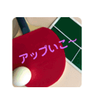 卓球がんばろう（個別スタンプ：9）