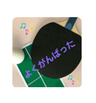 卓球がんばろう（個別スタンプ：37）