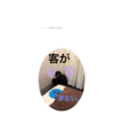 かんちゃんとくま（個別スタンプ：11）