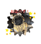 パグのジッパー（個別スタンプ：4）