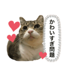 ちゃま19歳（個別スタンプ：3）