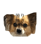 LANILANI（個別スタンプ：1）
