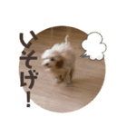 モネリム2（個別スタンプ：2）