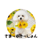 モネリム2（個別スタンプ：6）