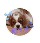 なーごろー（個別スタンプ：3）