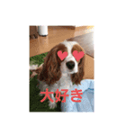 なーごろー（個別スタンプ：8）