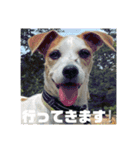 桃白白すたんぷ（個別スタンプ：6）