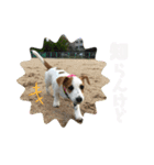 桃白白すたんぷ（個別スタンプ：14）