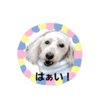 みんな大好きっ（個別スタンプ：8）