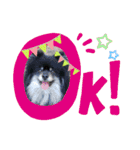 みんな大好きっ（個別スタンプ：9）