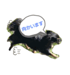 みんな大好きっ（個別スタンプ：10）