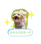 みんな大好きっ（個別スタンプ：11）