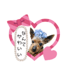 みんな大好きっ（個別スタンプ：12）