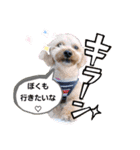 みんな大好きっ（個別スタンプ：16）