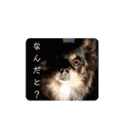 みんな大好きっ（個別スタンプ：20）