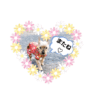 みんな大好きっ（個別スタンプ：24）