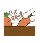 白兎のラビ（個別スタンプ：7）