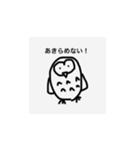 前向き梟（個別スタンプ：6）