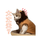 レオくんだよ！（個別スタンプ：1）